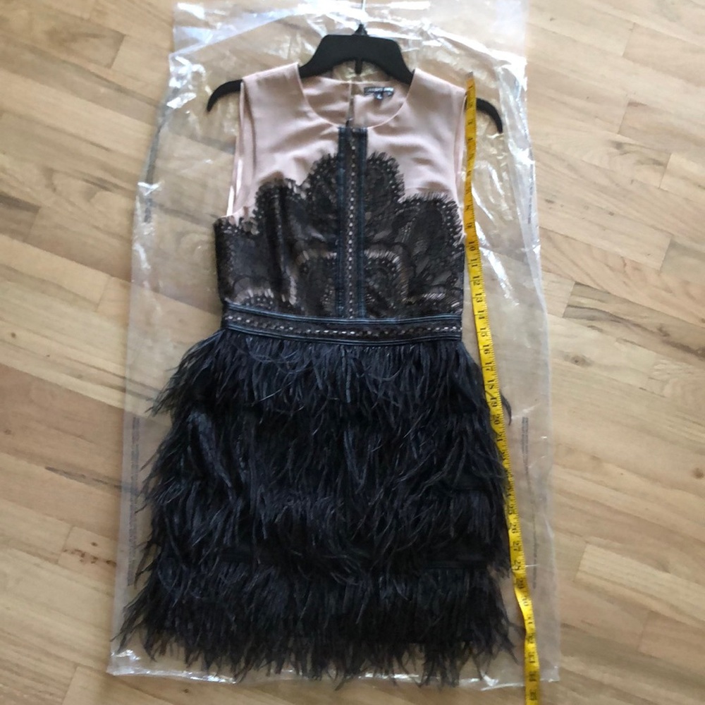 Gianni Bini Ostrich Feather Dress 2014